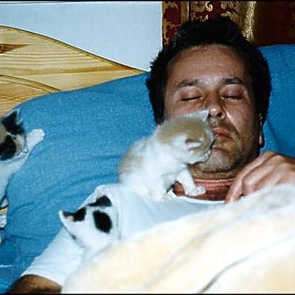 Meine Katzen (6)