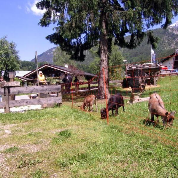 Königssee (6)